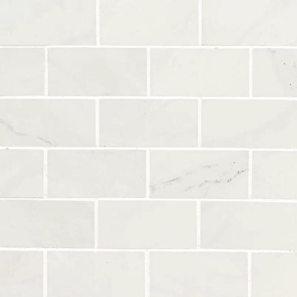 Aria Ice Polished Marble Look Porcelain Mosaics 2x4
