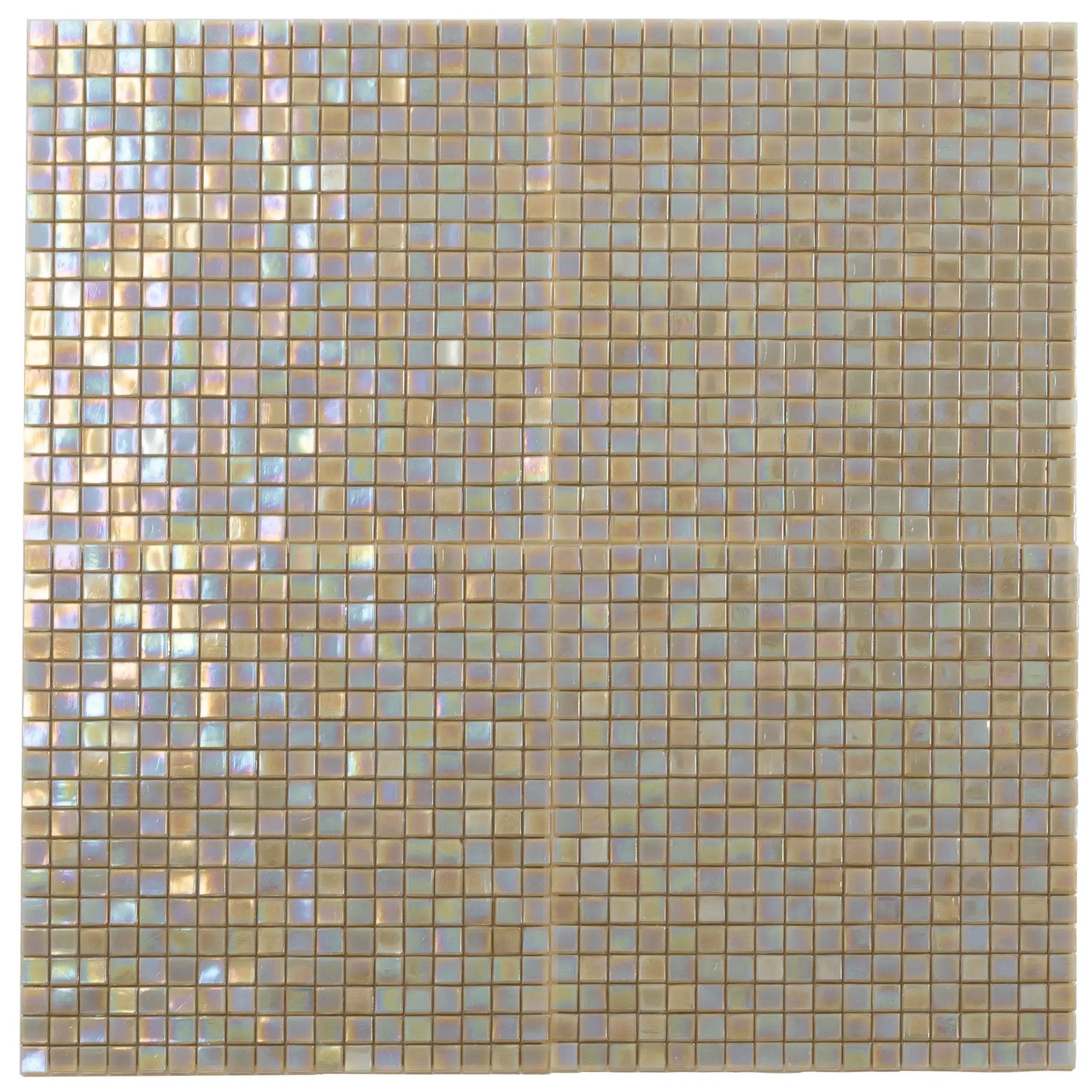Ecru Beige 12x12 Glossy Uniform Square Glass Mosaic Tile (20 pack, 18.69 sq ft/case) by Apollo Tile