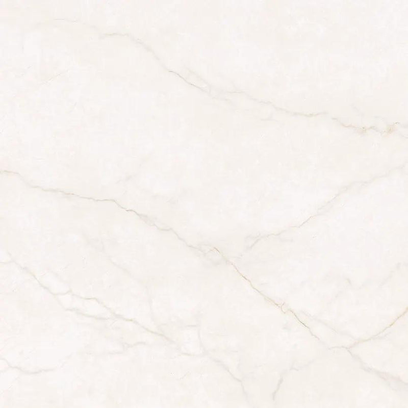 Brighton Gold Polished Porcelain Tiles 48x48 by MSI Surfaces