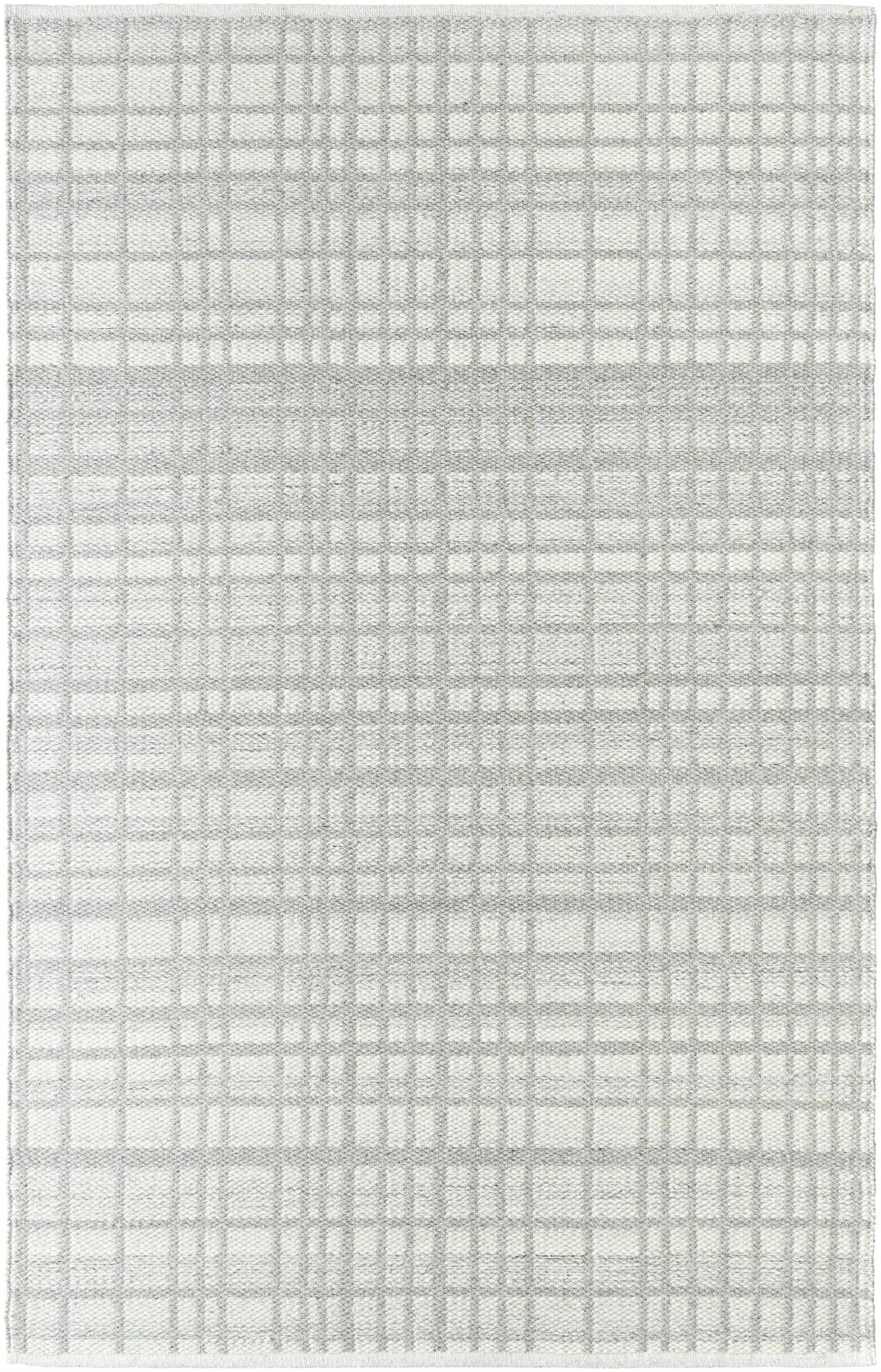 Nissa Light Gray Area Rug - Clearance by Boutique Rugs