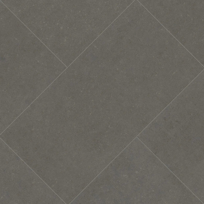 Dimensions Concrete Matte Porcelain Tiles 24x48 angled view
