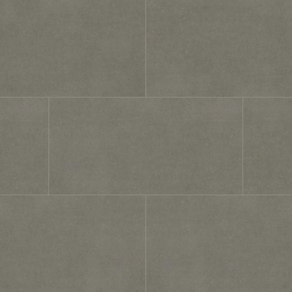 Dimensions Gris Matte Porcelain Tiles 12x24, photo 2 of 5