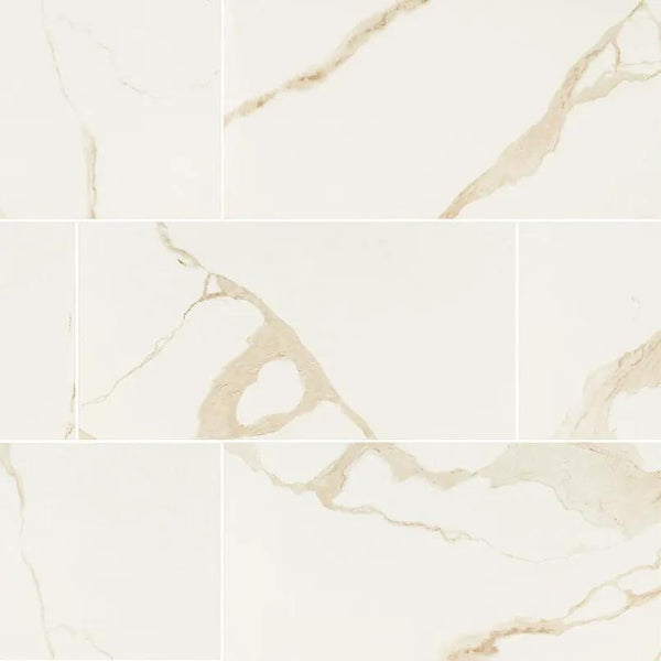 Eden Calacatta Matte Marble Look Porcelain Tiles 12x24