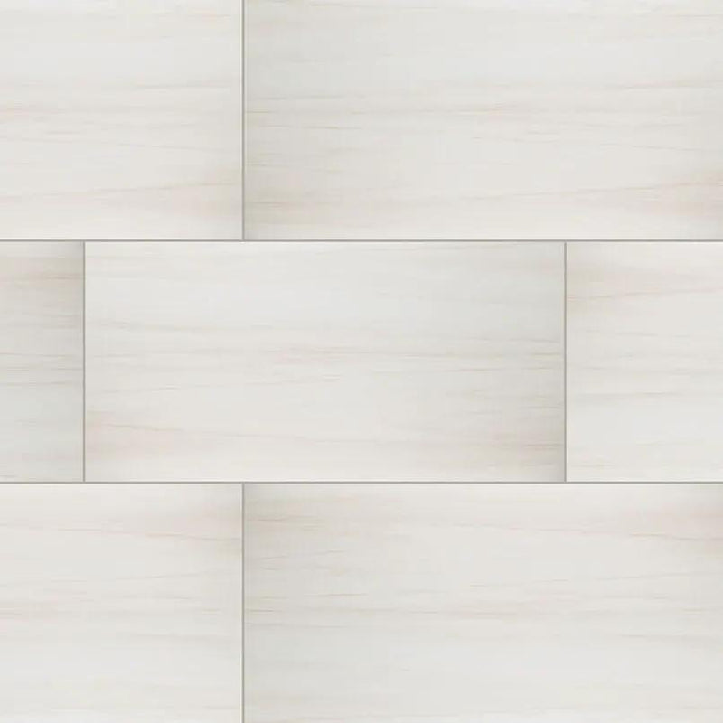 Eden Dolomite Polished Marble Look Porcelain Tiles 24x48 close up
