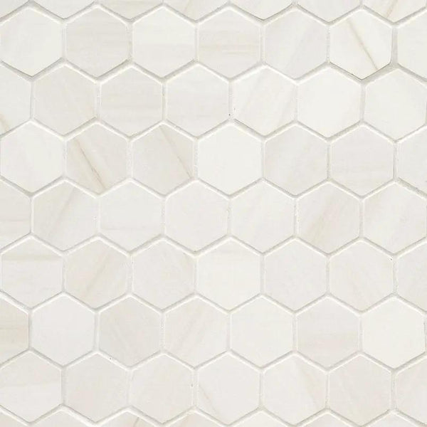 Eden Dolomite Matte Marble Look Porcelain Mosaics 2x2