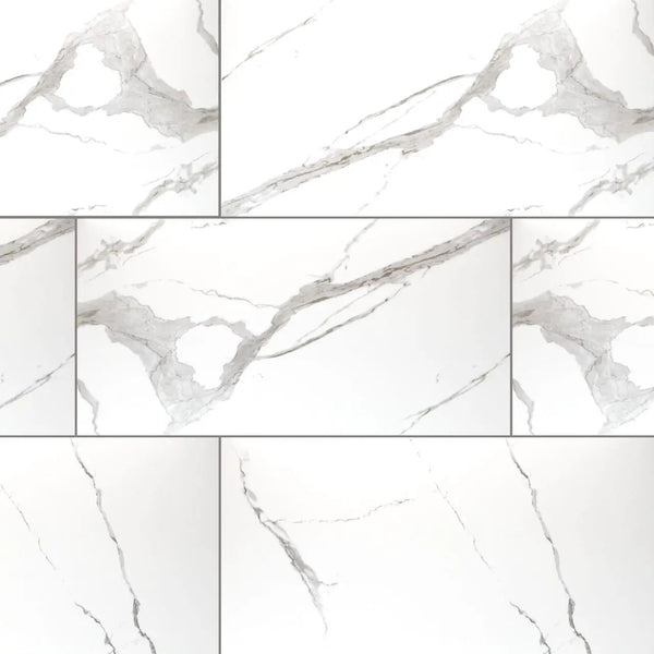 Eden Statuary Matte Marble Look Porcelain Tiles 12x24