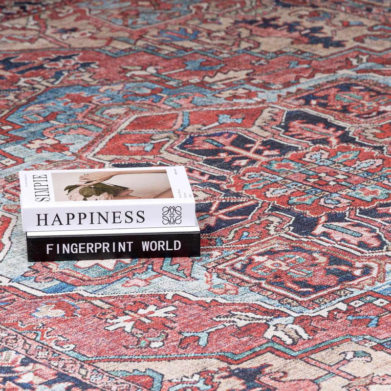 Neyland Washable Area Rug by Boutique Rugs