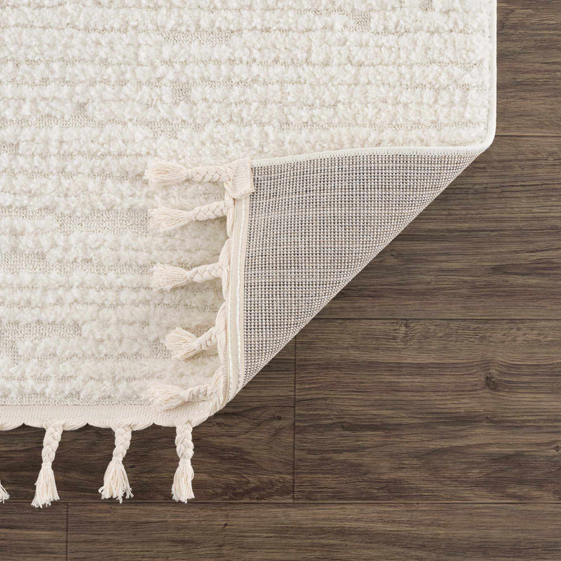 Kulu Textured Area Rug with Tassels by Boutique Rugs