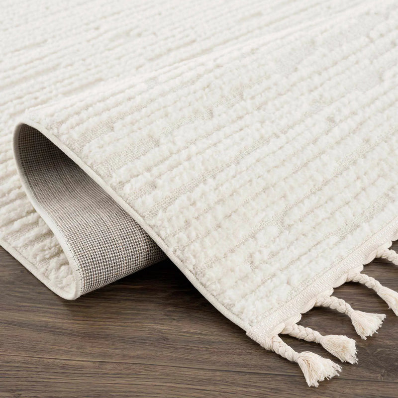 Kulu Textured Area Rug with Tassels by Boutique Rugs