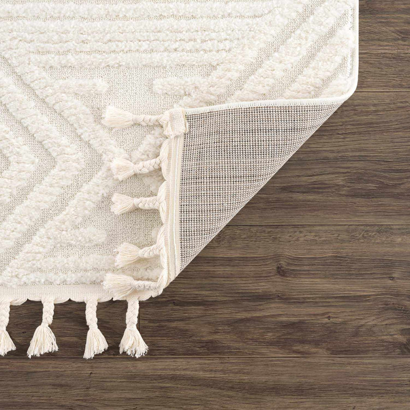 Manyas 3D Bone Area Rug with Tassels - Clearance by Boutique Rugs