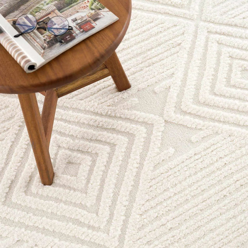 Manyas 3D Bone Area Rug with Tassels - Clearance by Boutique Rugs
