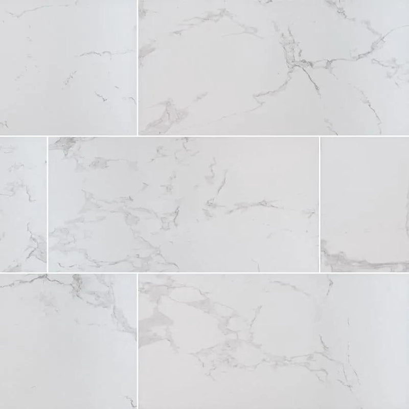 Praia Carrara Matte Porcelain Tiles 12x24 close up