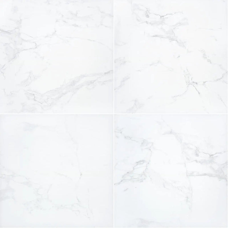 Praia Carrara Matte Porcelain Pavers 24x24 close up