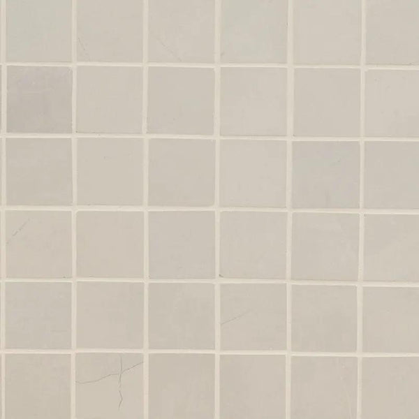 Sande Ivory Matte Marble Look Porcelain Mosaics 2x2