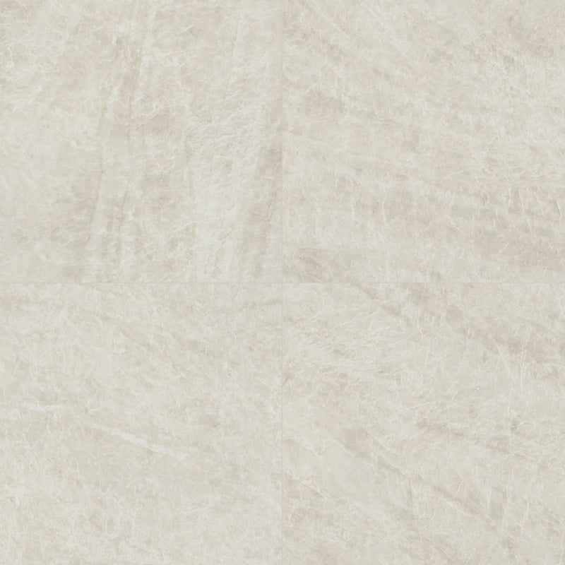 Legions Taja Ivory Matte Porcelain Tiles 24x24 by MSI Surfaces