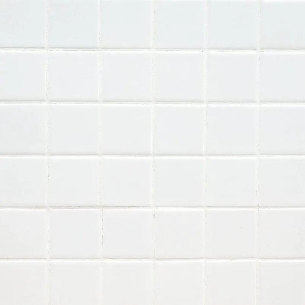 Domino White Matte Porcelain Tiles 2x2 N