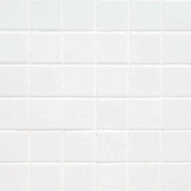 Domino White Polished Porcelain Tiles 2x2 close up