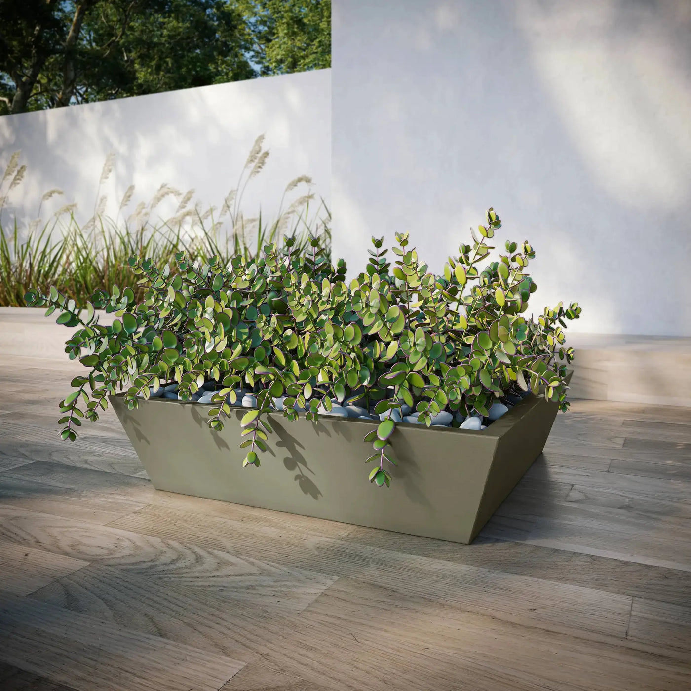 Newport Outdoor Shallow Planter by ModaConcrete - Direct source for architectural and precast concrete