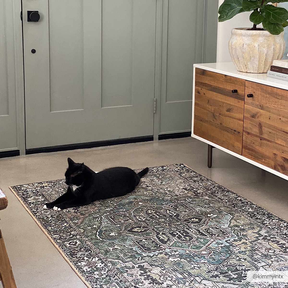 Neyland Sage Green Area Rug by Boutique Rugs