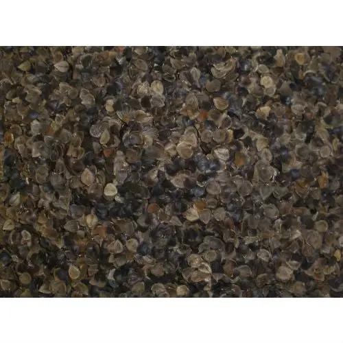 Japanese size 14 x 20 inch Organic Buckwheat Pillow by HomePacific