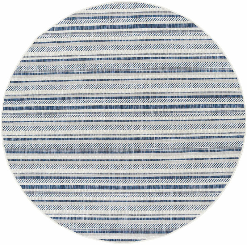 Olin White&Blue Striped Nordic Outdoor Rug by Boutique Rugs