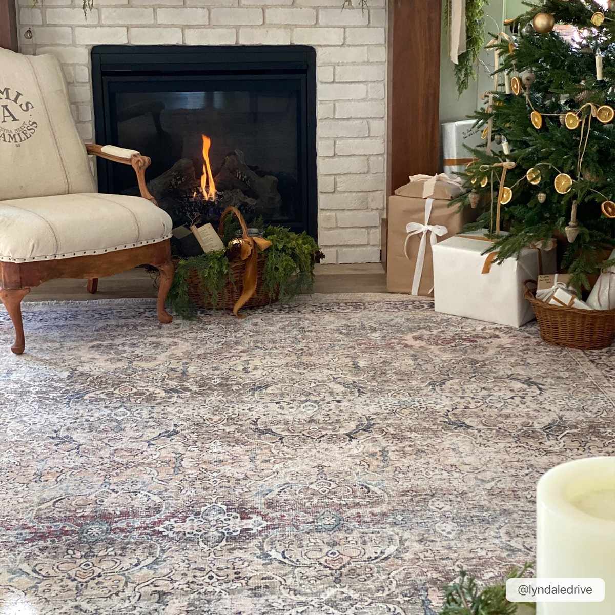 Olive Holi-2304 Washable Area Rug by Boutique Rugs