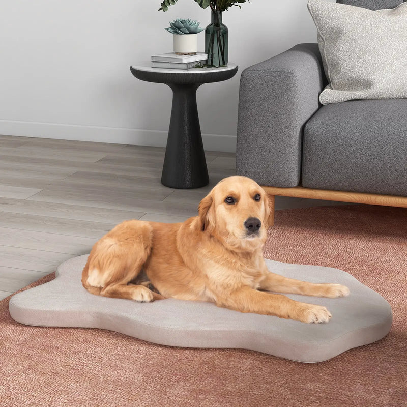 Orthopedic Dog Bed with Memory Foam Support for Large Dogs by DirectDeals