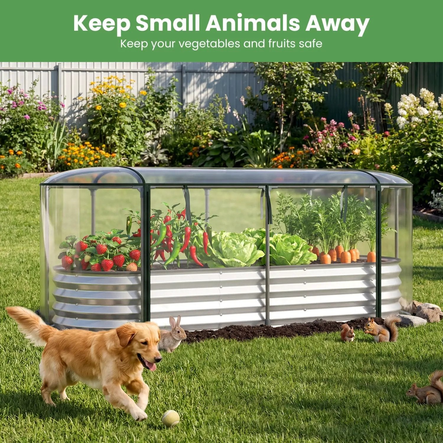 Outdoor Color Steel Raised Garden Bed with Greenhouse Cover Roll-up Window by DirectDeals