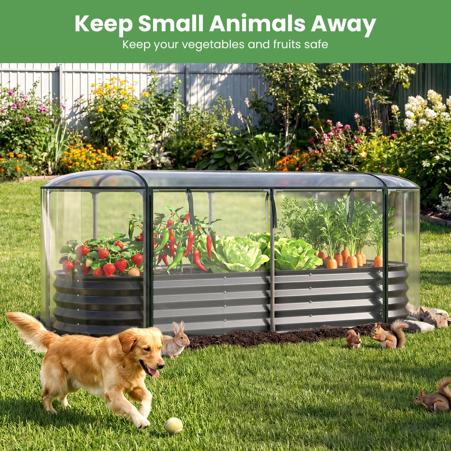 Outdoor Color Steel Raised Garden Bed with Greenhouse Cover Roll-up Window by DirectDeals