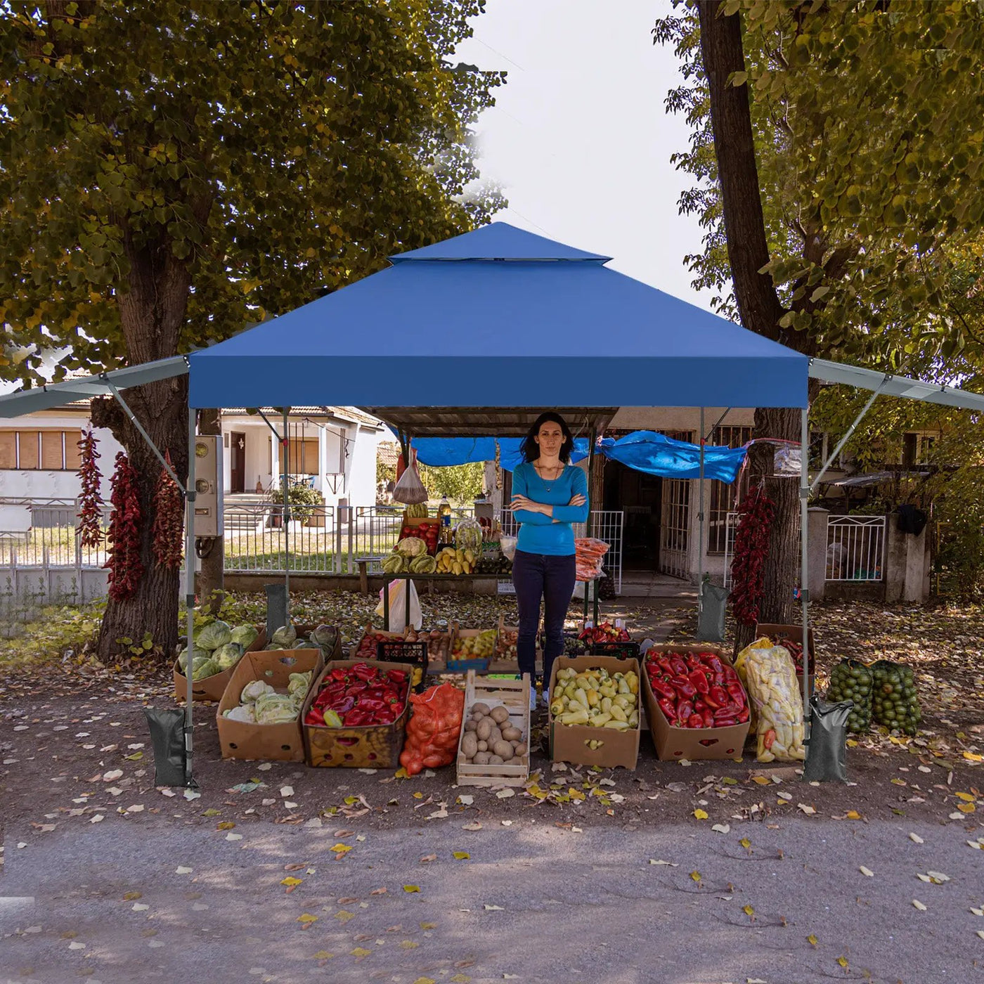 10 x 17.6 Feet Outdoor Instant Pop-up Canopy Tent with Dual Half Awnings by DirectDeals