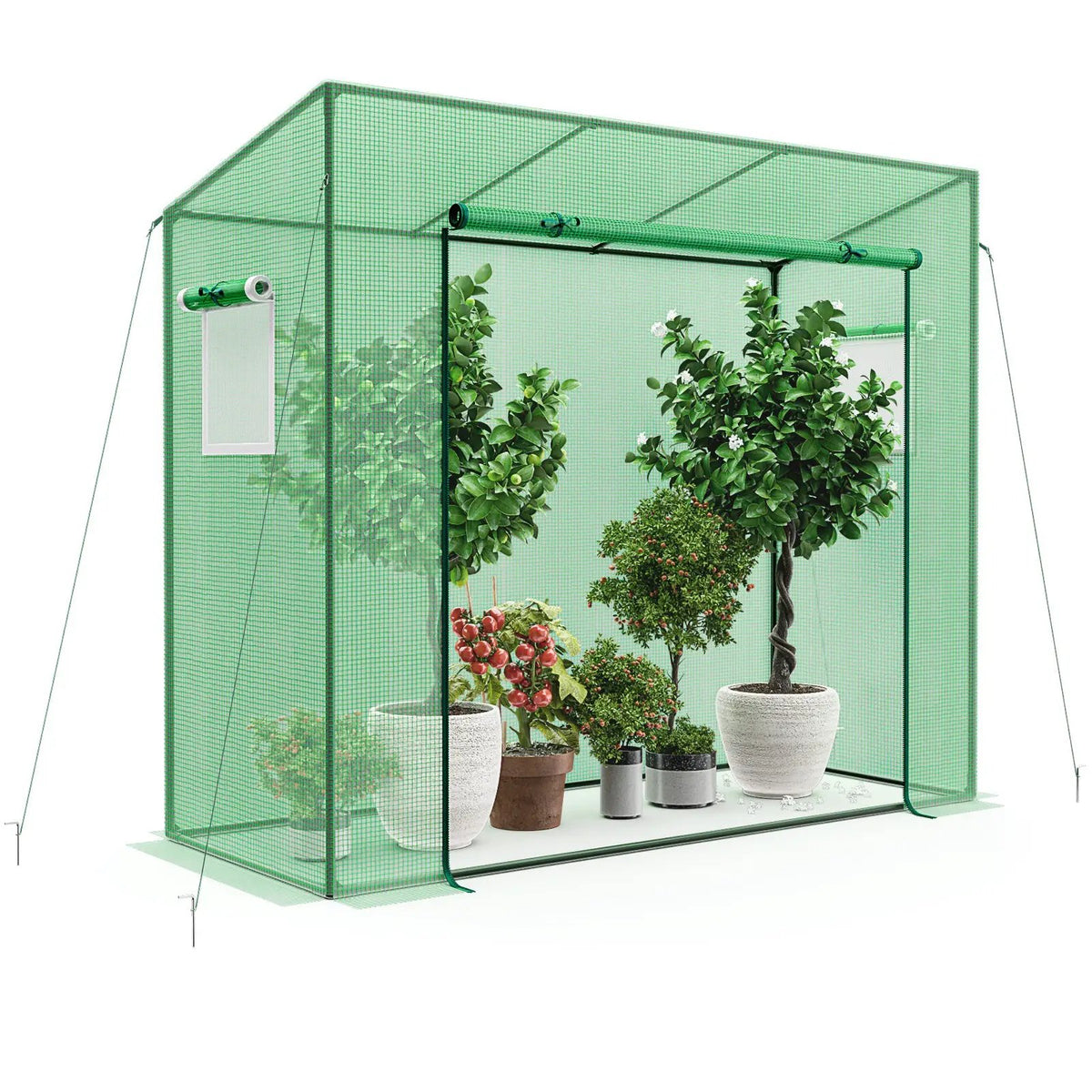 Outdoor Portable Walk-in Greenhouse with PE Cover Heavy-Duty Metal Frame Roll-up Zipper Door by DirectDeals