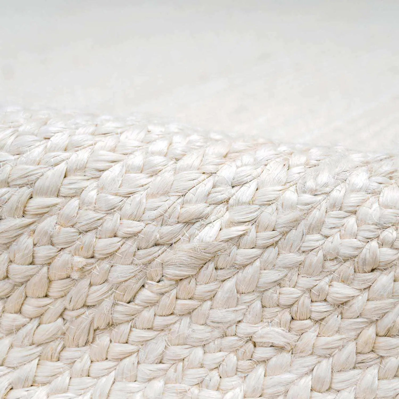 Pangnir Braided Jute Rug by Boutique Rugs