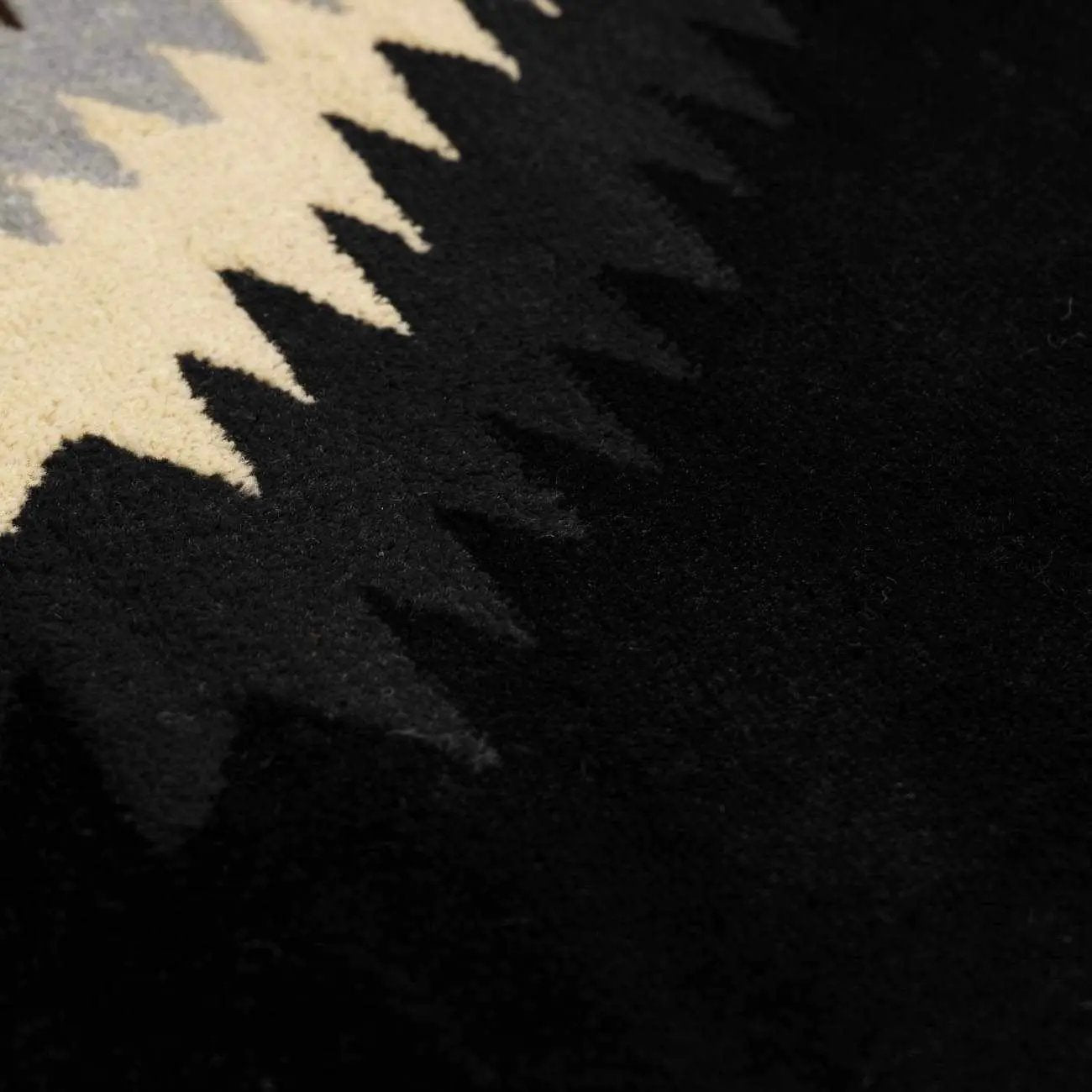 Buckhaven Black Southwestern Area Rug by Boutique Rugs