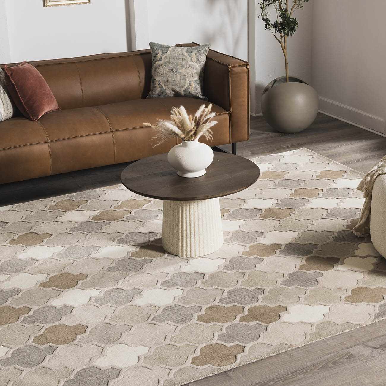 Paron Area Rug - Clearance by Boutique Rugs