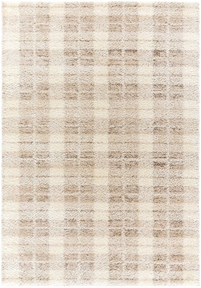 Anfisa Cream Luxe Shag Area Rug by Boutique Rugs