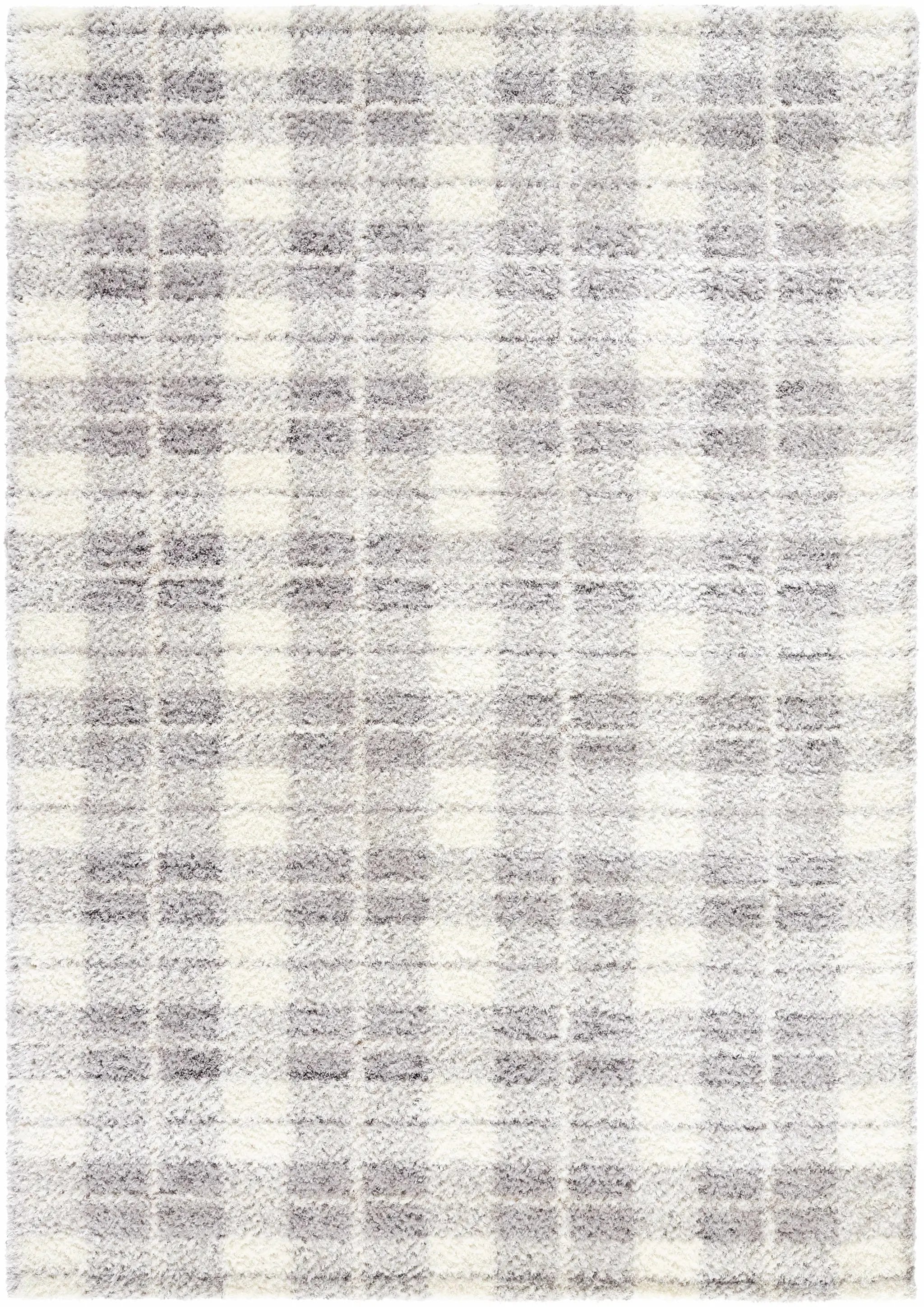 Anfisa Tan Luxe Shag Area Rug by Boutique Rugs