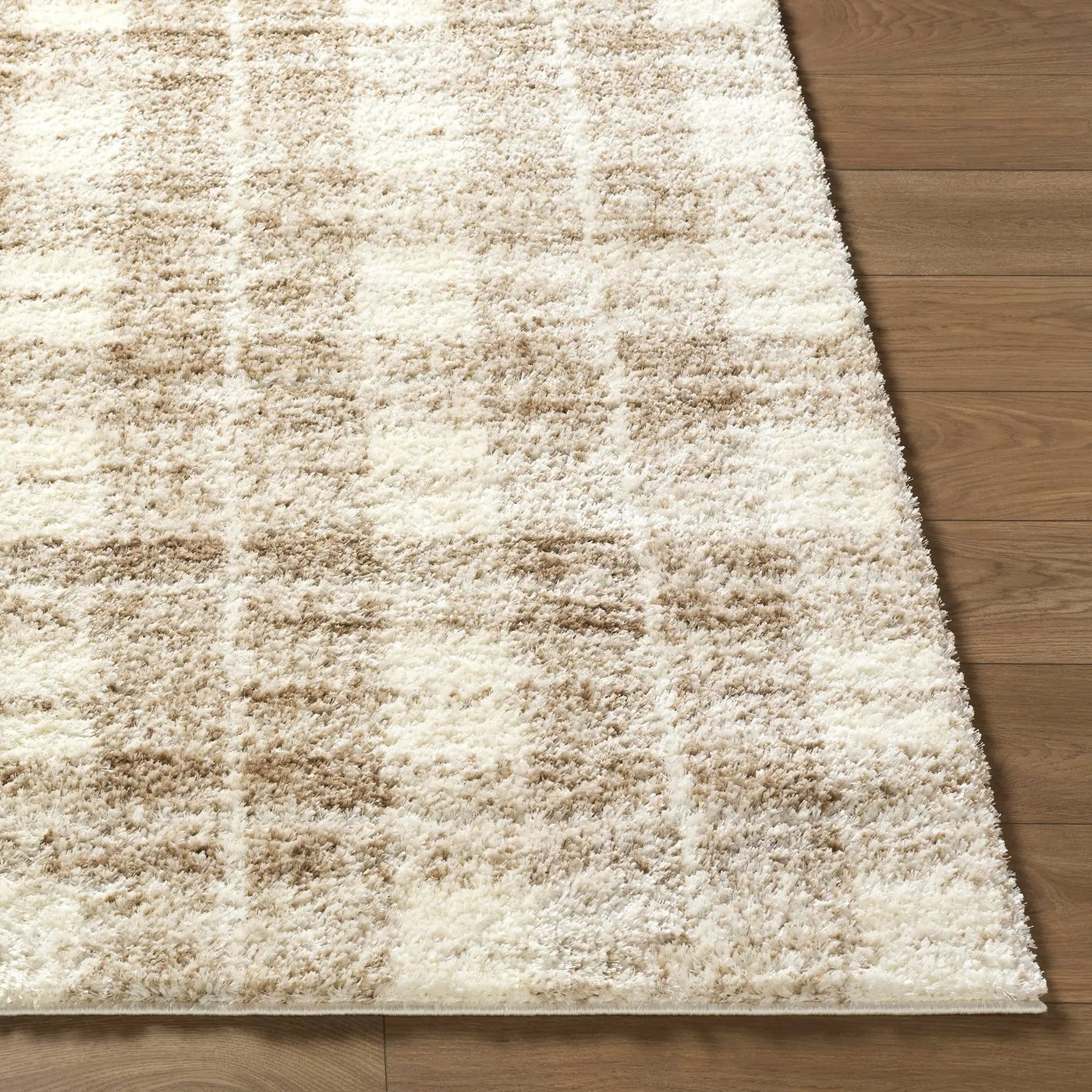 Anfisa Beige Luxe Shag Area Rug by Boutique Rugs
