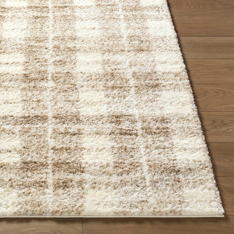 Anfisa Beige Luxe Shag Area Rug by Boutique Rugs