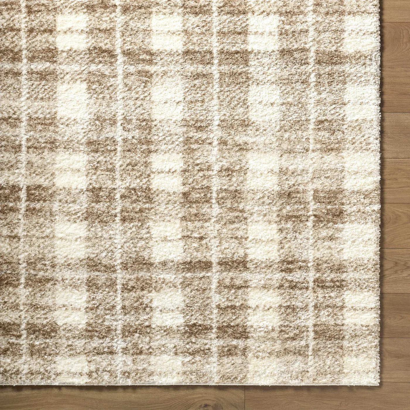 Anfisa Beige Luxe Shag Area Rug by Boutique Rugs