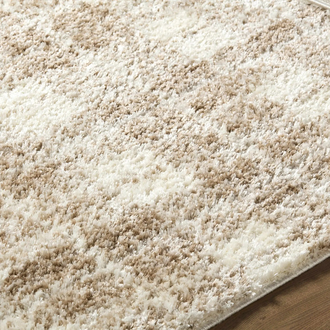 Anfisa Beige Luxe Shag Area Rug by Boutique Rugs