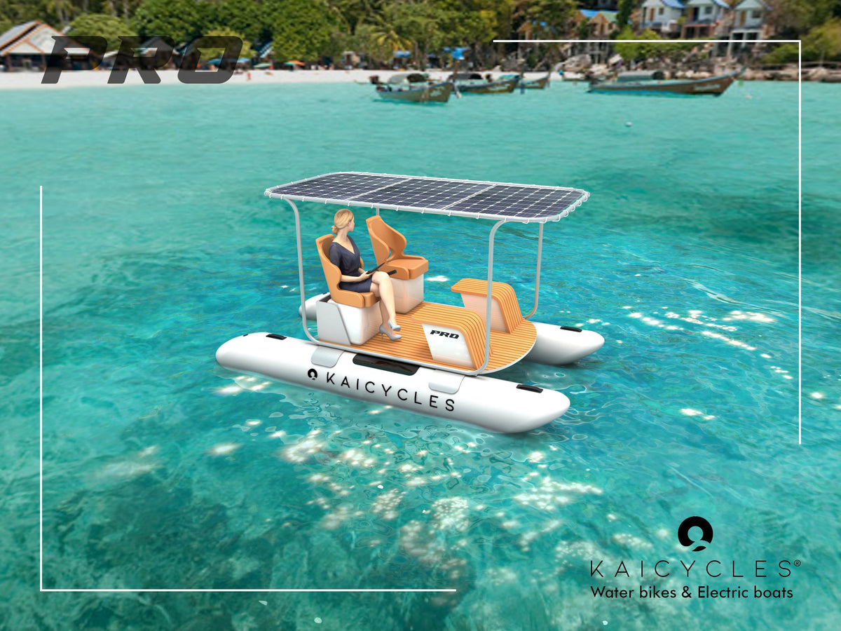 PRO Inflatable e-Boat (Made in EU), photo 4 of 11