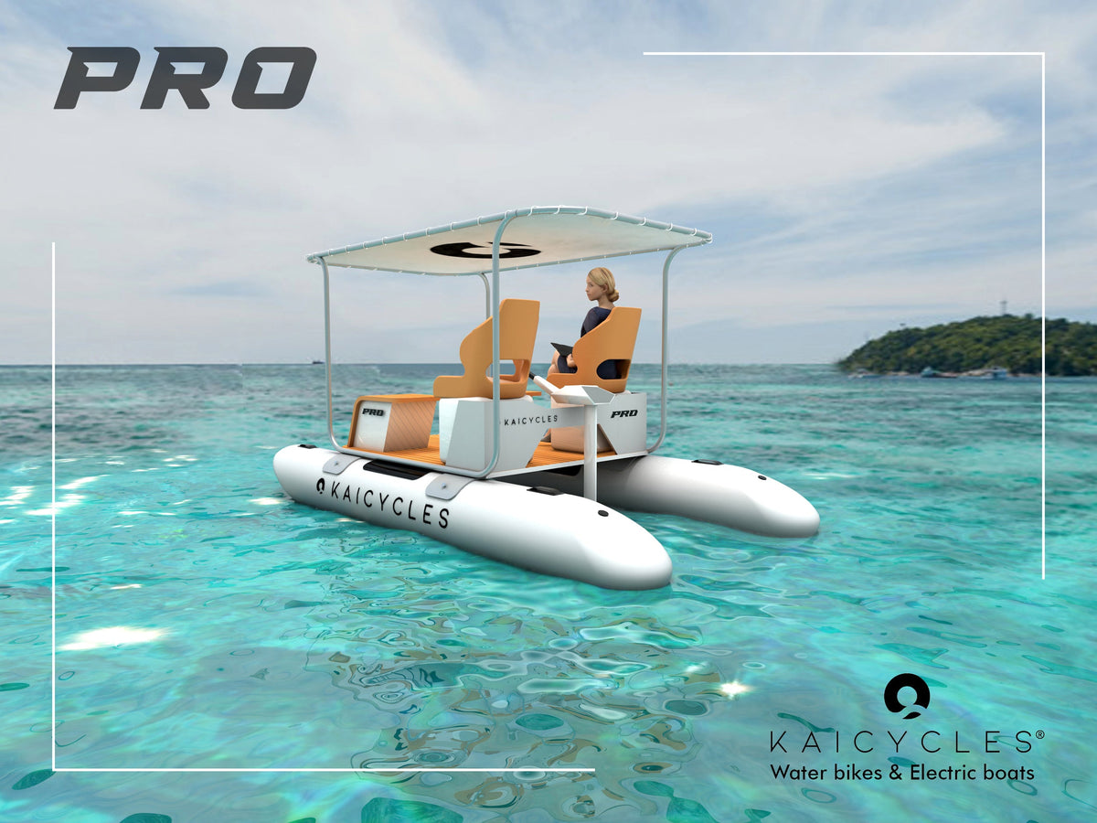PRO Inflatable e-Boat (Made in EU), photo 8 of 11