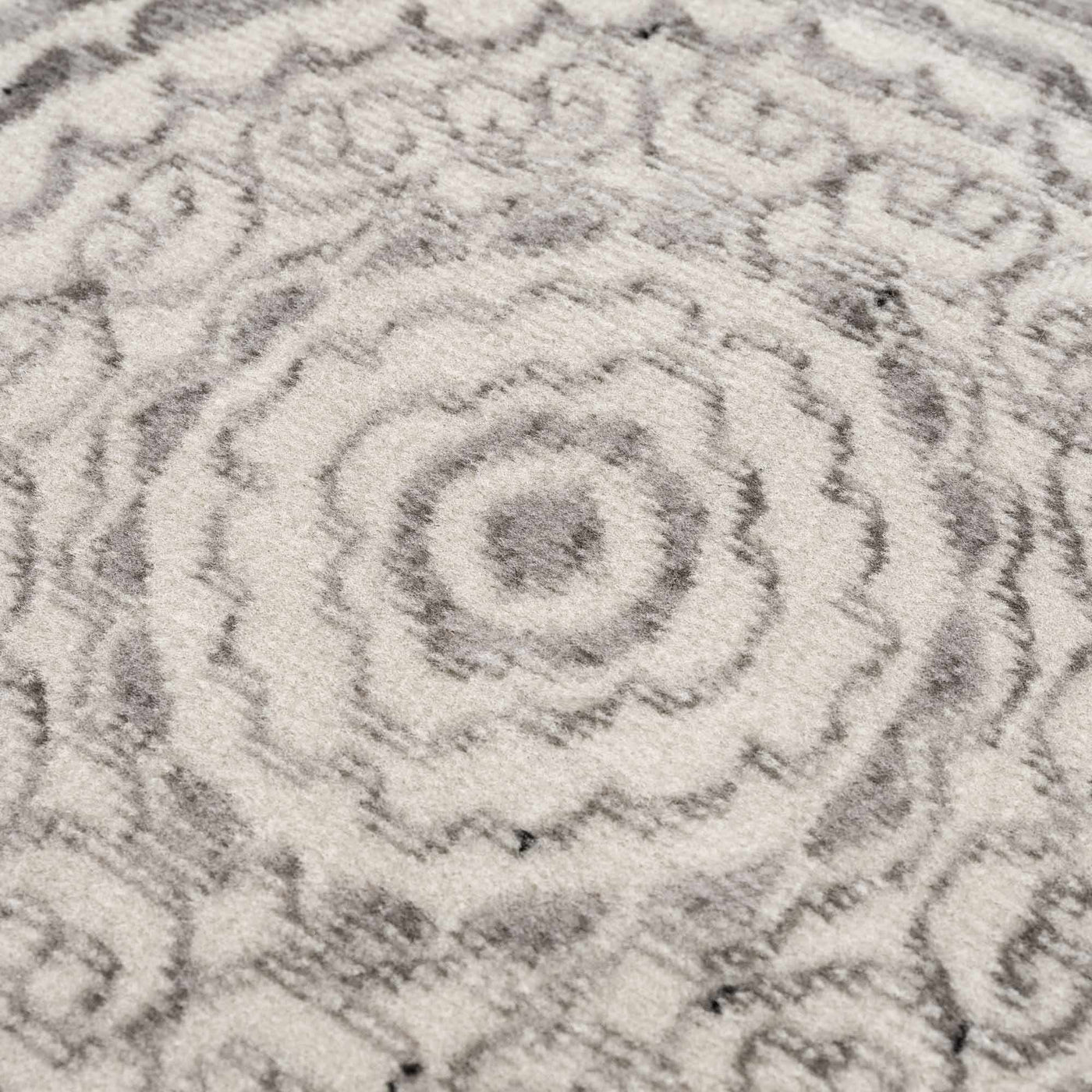 Tadcaster Area Rug - Clearance by Boutique Rugs