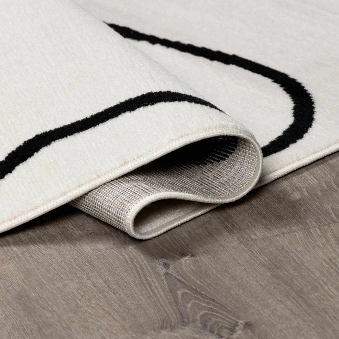 Eilir Modern Low Profile Boho Rug by Boutique Rugs
