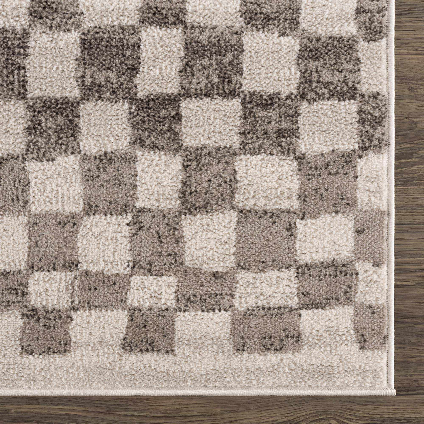 Benjy Beige Checkered Area Rug by Hauteloom