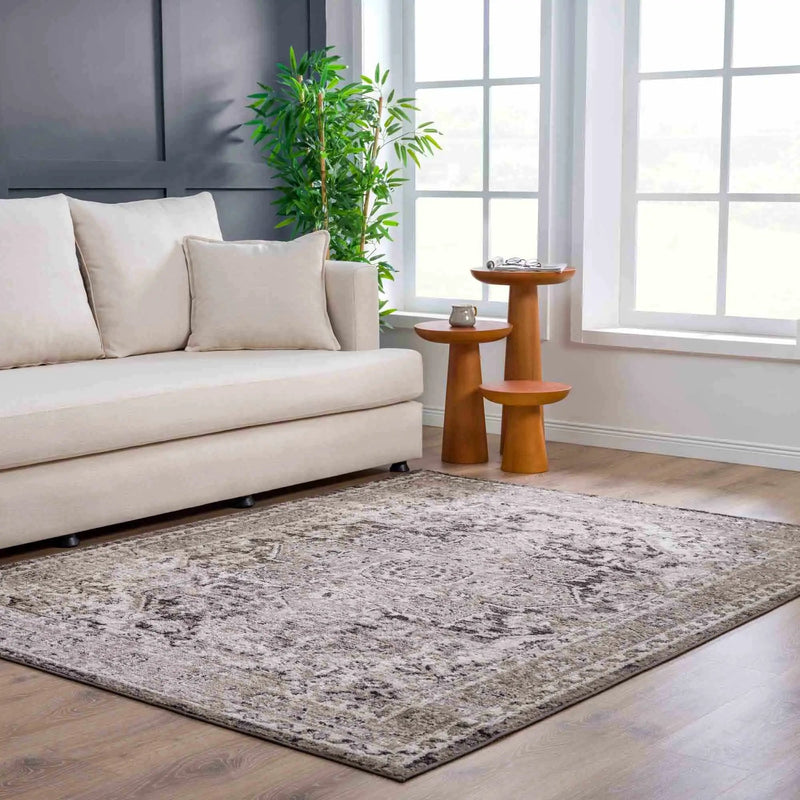 Albie Charcoal & Beige Area Rug - Clearance by Boutique Rugs