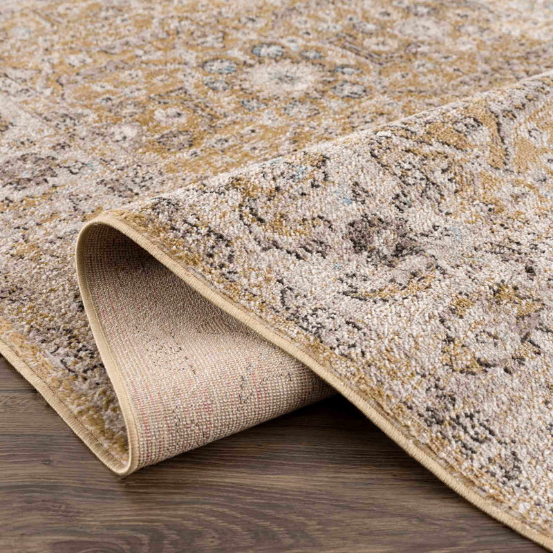 Anana Gold & Beige Area Rug - Clearance by Boutique Rugs
