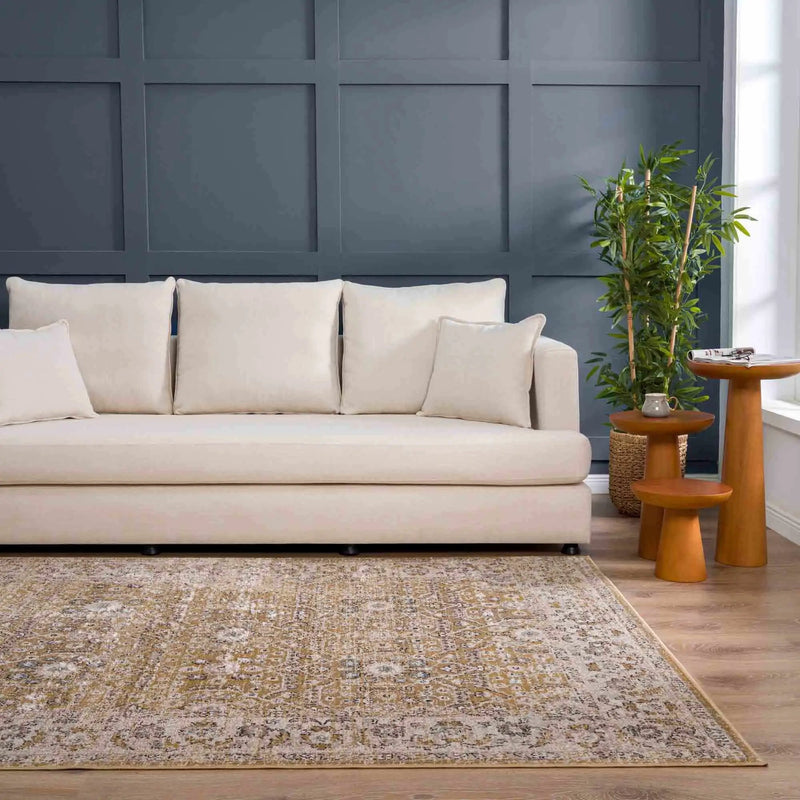 Anana Gold & Beige Area Rug - Clearance by Boutique Rugs