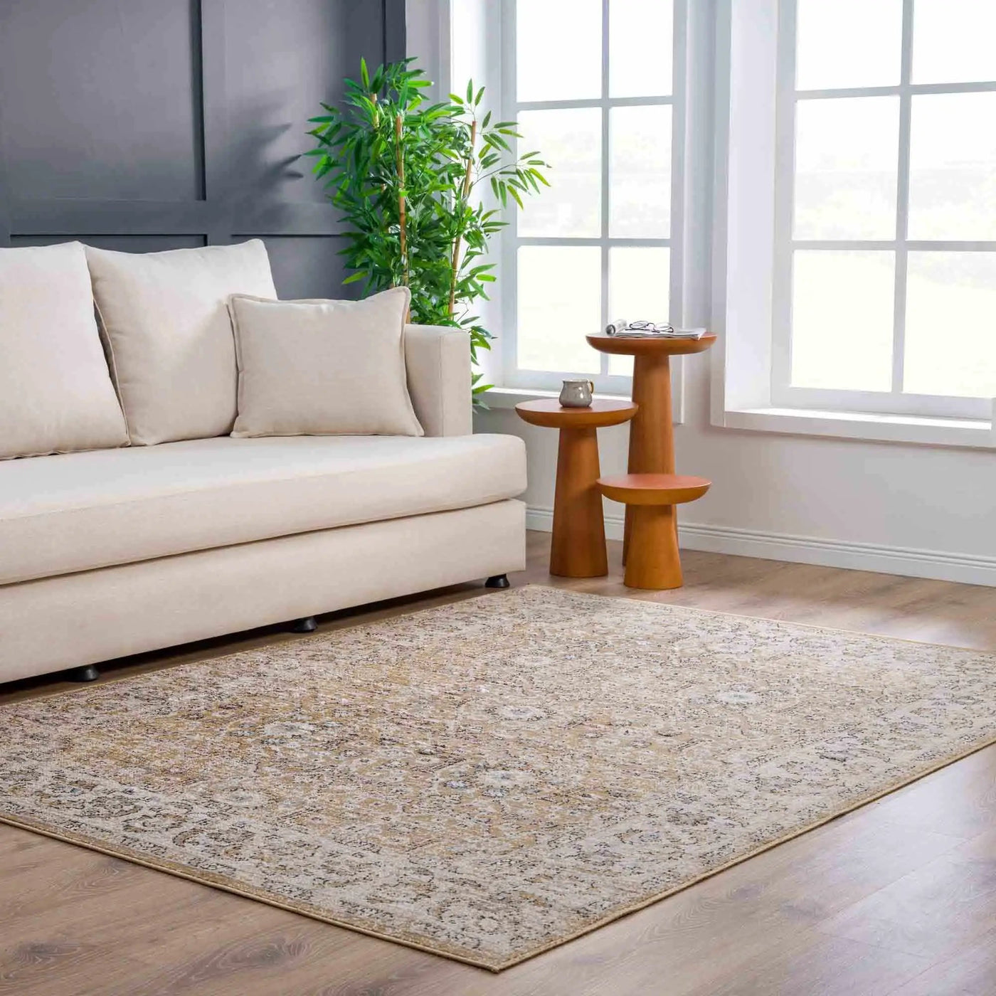 Anana Gold & Beige Area Rug by Hauteloom