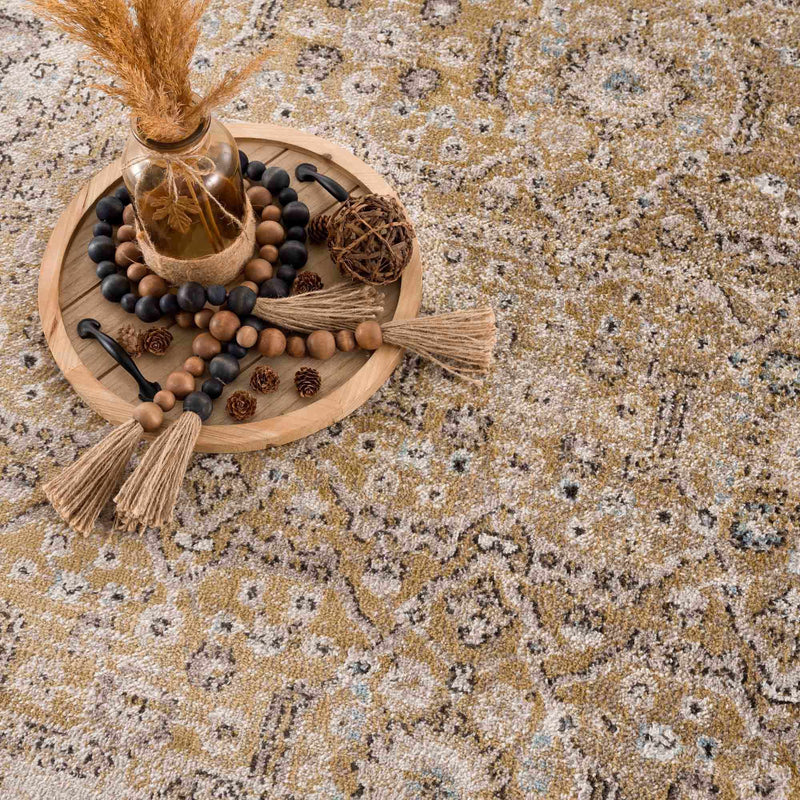 Anana Gold & Beige Area Rug - Clearance by Boutique Rugs